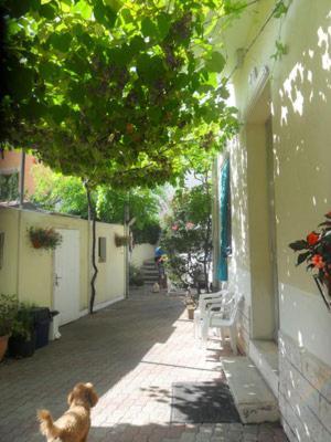 Albergo Villa-Brandi --- Pensione Completa --- Bellaria-Igea Marina Buitenkant foto
